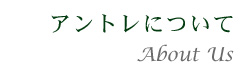 アントレについて