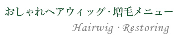福岡天神エステティック　アントレのおしゃれヘアウィッグ・増毛